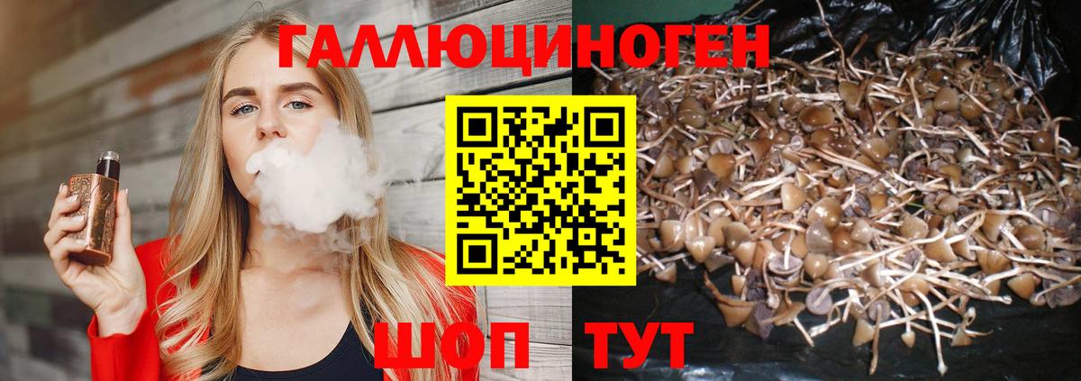 Галлюциногенные грибы Magic Shrooms Аргун
